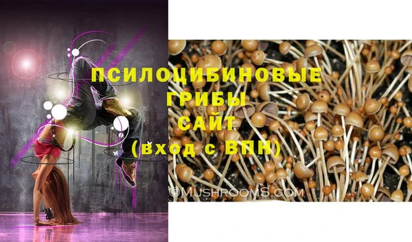 дурь Приозерск