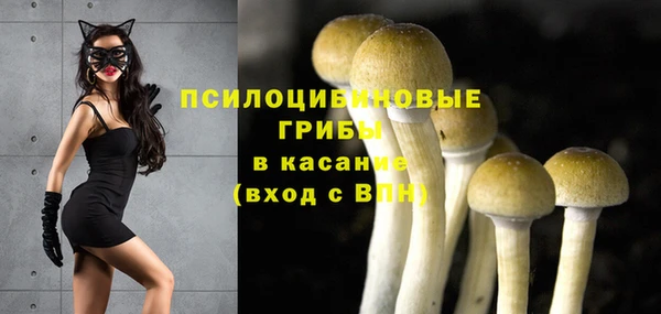 mdpv Пролетарск