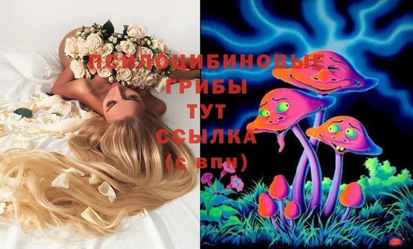 PSILOCYBIN Протвино