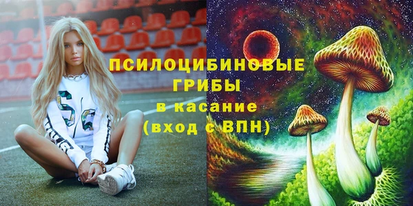 PSILOCYBIN Протвино