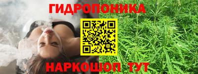 spice Партизанск