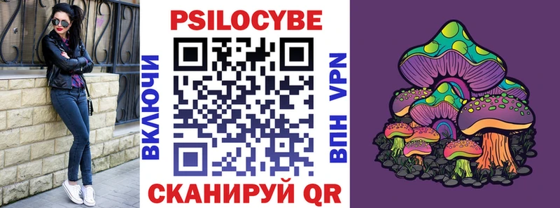 Псилоцибиновые грибы Cubensis  где купить наркоту  Сертолово 