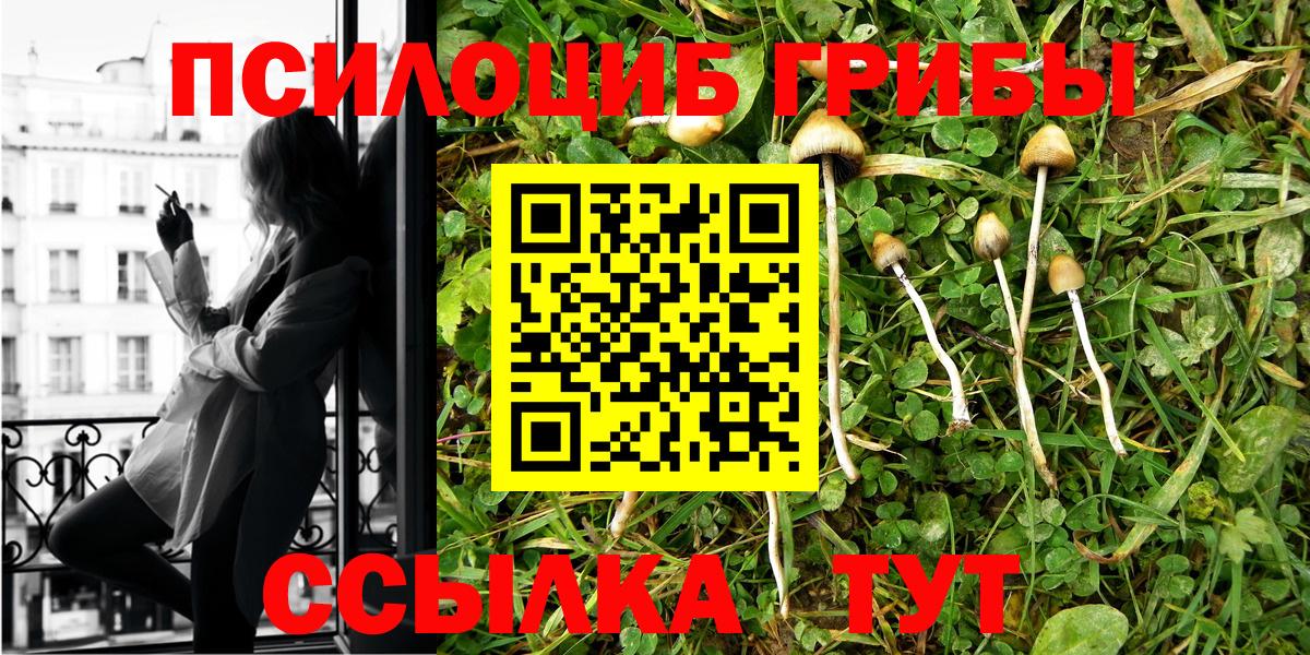 Сертолово  Псилоцибиновые грибы прущие грибы  Вход с VPN 