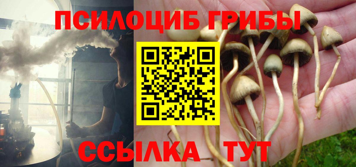 Сертолово  Конопля  Меф МЯУ МЯУ   Вход с VPN  ГАШИШ  КОКАИН  NBOMe 