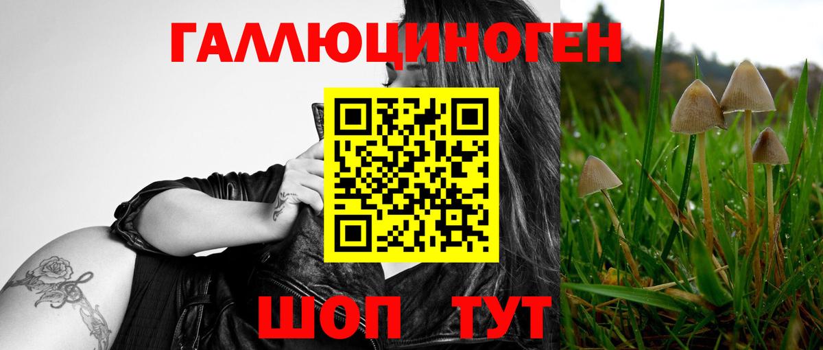 Псилоцибиновые грибы Сертолово